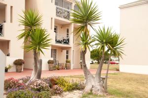 two palm trees in front of a building at Big Bay Beach Club 134 in Bloubergstrand