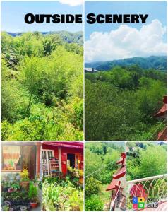 a collage of four pictures of a outside scenery at TRIPLE JS INN-SAGADA in Sagada