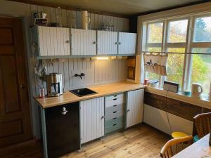Kuchyň nebo kuchyňský kout v ubytování Södragården - traditionally Swedish