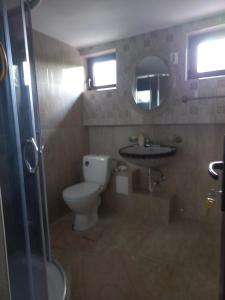 a bathroom with a toilet and a sink and a shower at Conacul cu Nuci 