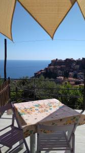 un tavolo e una sedia su un balcone con vista sull'oceano di la casa dei fiori a Pisciotta