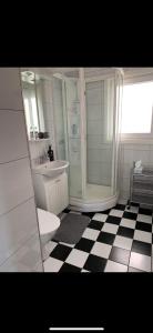 La salle de bains est pourvue de toilettes, d'un lavabo et d'une douche. dans l'établissement Videvägen 3, à Sölvesborg