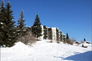 un edificio en la cima de una colina nevada con árboles en Le Cernois -Centrre du village - pistes de luge, ski fond, patinoire, commerces à 100m, en Prémanon