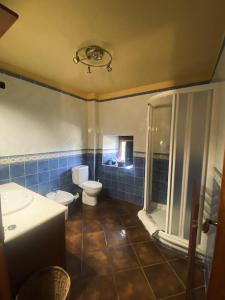 a bathroom with a toilet and a sink and a shower at Casa Rural Arteondo in Orduña