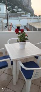 Cataldo Guest House في كابري: طاولة بيضاء مع نبات الفخار على الشرفة
