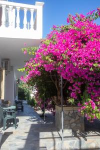 Gallery image of FLOWERS STUDIOS in Skala