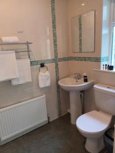 un bagno con un water bianco e un lavandino di Mulberry Lodge a Blarney Altre 18 foto