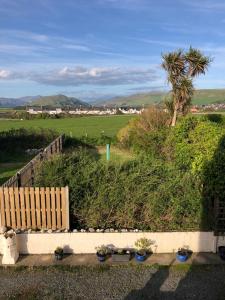 a garden with plants and a fence and a palm tree at Newly renovated 1st floor apartment with mountain views in Tywyn