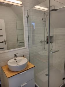 y baño con lavabo y ducha acristalada. en Apartmán Pekná Vyhliadka - Vila Vlasta en Vysoke Tatry - Horny Smokovec