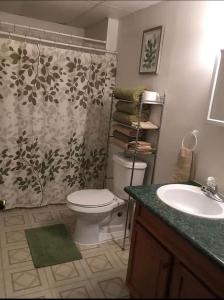 a bathroom with a toilet and a shower curtain at Cherry712upstairs in Fairborn