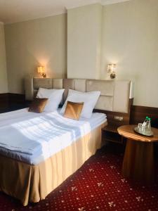 1 dormitorio con 1 cama grande en una habitación en Hotel Cristal Park, en Dąbrowa Tarnowska