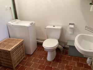 ein Bad mit einem WC und einem Waschbecken in der Unterkunft Pleasant cottage in Le Veurdre with private garden in Le Veurdre