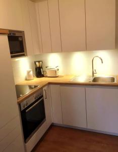 Een keuken of kitchenette bij Reichsadler 11