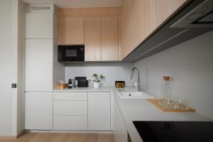 Kuchyň nebo kuchyňský kout v ubytování Kastani Apartments