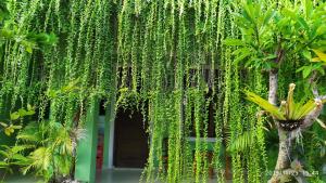 un edificio con una pared cubierta de plantas verdes en PURNAMA HOUSE KUTA, en Kuta