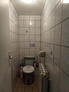 a bathroom with a toilet and a tiled wall at gîte des Hortensias in Raon-aux-Bois
