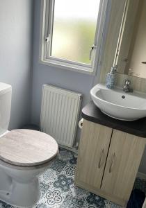 a bathroom with a toilet and a sink at Newquay Bay Resort - Sea Breeze 61 in Newquay