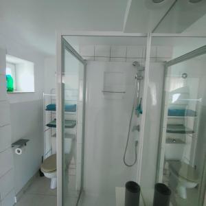 une salle de bain avec douche et toilettes dans l'établissement Fréjus centre, à Fréjus 24 autres photos