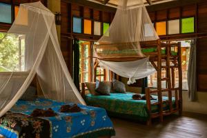 - une chambre avec 2 lits superposés et une moustiquaire dans l'établissement Monkey Mansion - Jungalows & Tours, à Khao Sok