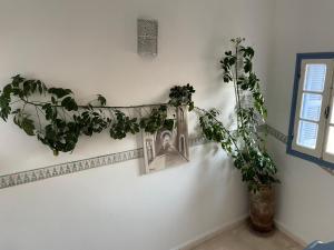 une chambre avec deux plantes et une photo sur le mur dans l'établissement RIAD AMANA, à Essaouira