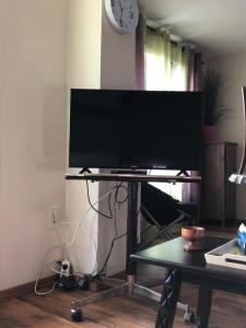 Telewizja i/lub zestaw kina domowego w obiekcie T3 LUC-LA-PRIMAUBE chez Monique 2 nuits minimum