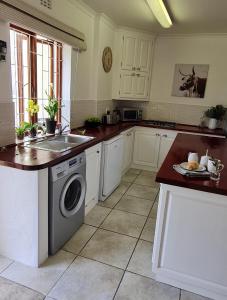 a kitchen with a sink and a washing machine at Froggy Farm Self Catering in Simonʼs Town