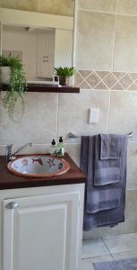 y baño con lavabo y espejo. en Froggy Farm Self Catering en Simonʼs Town