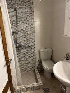 a bathroom with a shower and a toilet and a sink at Villa Maria-Stunning Villa in Porto Hydra in Thermisía