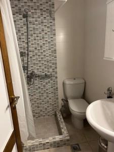 a bathroom with a shower and a toilet and a sink at Villa Maria in Thermisía