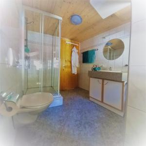 W łazience znajduje się toaleta, prysznic i umywalka. w obiekcie Ferienhaus Mühlstein w mieście Silbertal
