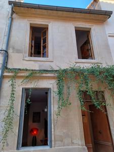 - un bâtiment avec deux fenêtres et lierre dans l'établissement Ô Anges, à Arles