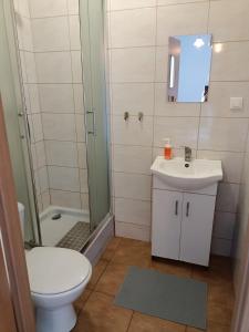 a bathroom with a toilet and a sink and a shower at Pokoje pod Świerkiem in Swarzędz