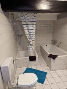 a bathroom with a toilet and a bath tub at Flensburg Zentrum 69 05 in Flensburg