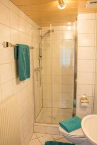 Kúpeľňa v ubytovaní Ferienhaus Mühlstein