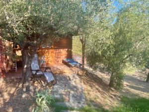 un patio con un árbol, un banco y una casa en Poggio Alla Pieve Relais, en Calenzano