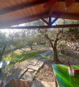 Zahrada ubytování Poggio Alla Pieve Relais
