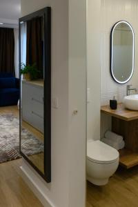 bagno con servizi igienici, lavandino e specchio di Hotel Vila Discret a Satu Mare