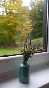 Foto dalla galleria di Domek w borówkach a Tokarnia