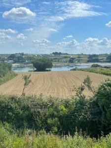 ein Feld neben einem Wasserkörper in der Unterkunft Maison neuve, chaleureuse, vue sur L'Aber Benoït in Saint-Pabu