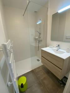 ein Bad mit einem Waschbecken und einer Dusche mit einem Spiegel in der Unterkunft Maison neuve, chaleureuse, vue sur L'Aber Benoït in Saint-Pabu