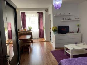 a living room with a couch and a tv and a table at Royal Studio National Arena - Free Parking in Bucharest