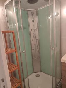 a shower in a bathroom with a glass shower stall at Bel appartement au calme avec parking in Lyon