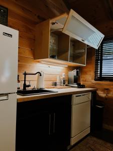 a kitchen with a sink and a refrigerator at Sylvan Valley Lodge and Cellars in Sautee Nacoochee