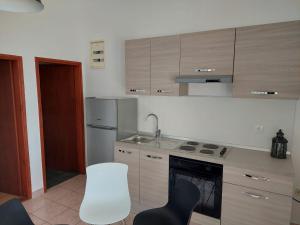 Kuchyň nebo kuchyňský kout v ubytování Apartmani Vesna