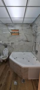 a bathroom with a bath tub and a toilet at Astra Hermon Zimmer in Majdal Shams