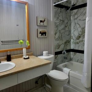 a bathroom with a sink and a toilet and a bath tub at High Falls Motel & Cabins in Wawa