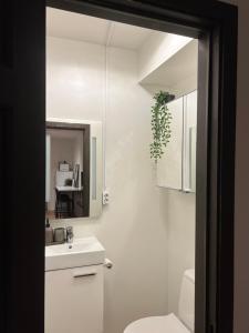 Kamar mandi di 1 bedroom apartment