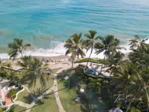 una vista aérea de una playa con palmeras y el océano en CABARETE BEACH HOUSES the NANNY ESTATES en Cabarete