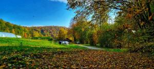 ścieżka na polu z liśćmi na trawie w obiekcie Biała chatka w lesie na Roztoczu w mieście Szczebrzeszyn