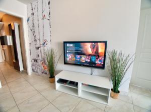 salon z płaskim telewizorem na ścianie w obiekcie ☆ L'Exotique ☆ 2 chambres ☆ NETFLIX ☆ w Metz